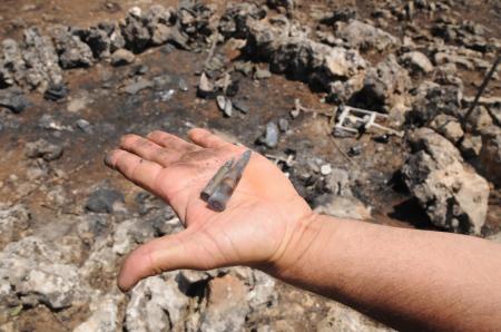 --1486581.jpeg --1486581.jpeg