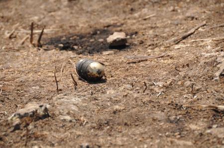 --1486583.jpeg --1486583.jpeg