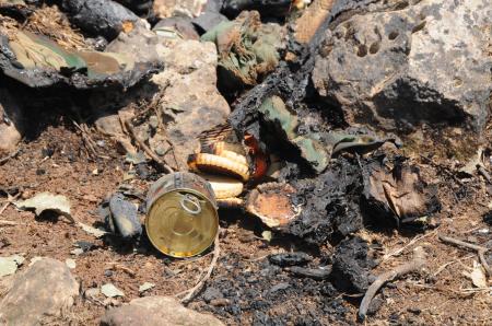 --1486585.jpeg --1486585.jpeg