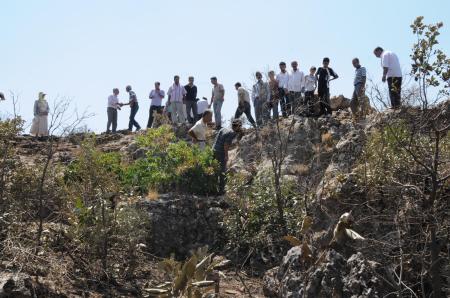 --1486587.jpeg --1486587.jpeg