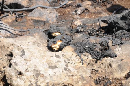 --1486589.jpeg --1486589.jpeg