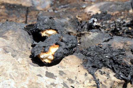 --1486591.jpeg --1486591.jpeg