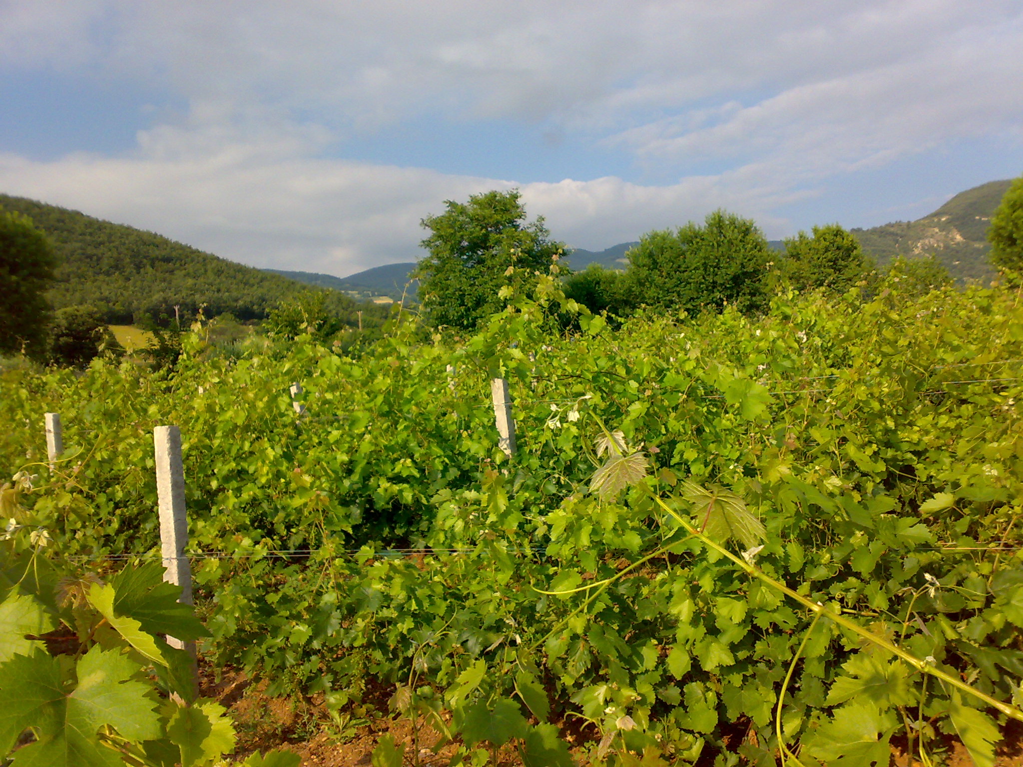 110720112521.jpg 110720112521.jpg