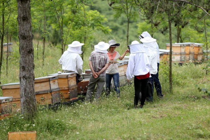 Ramazan'da Bal Tüketin