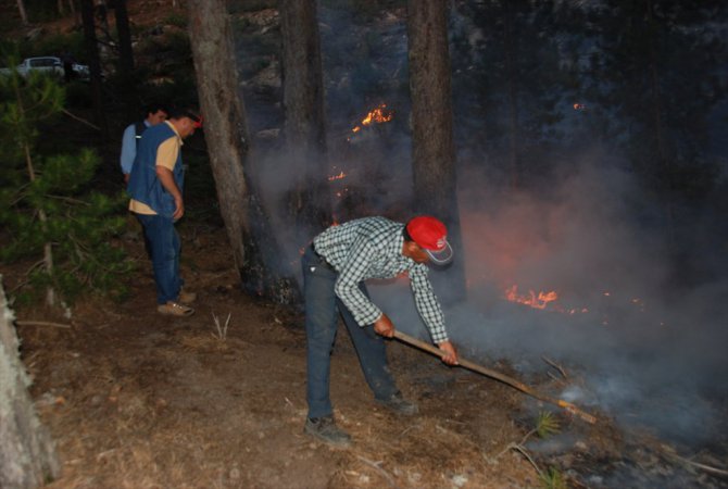 Aydın'daki Orman Yangını