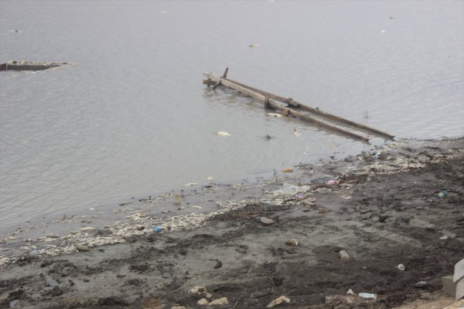 Mevsimsiz ölüyor balıklar