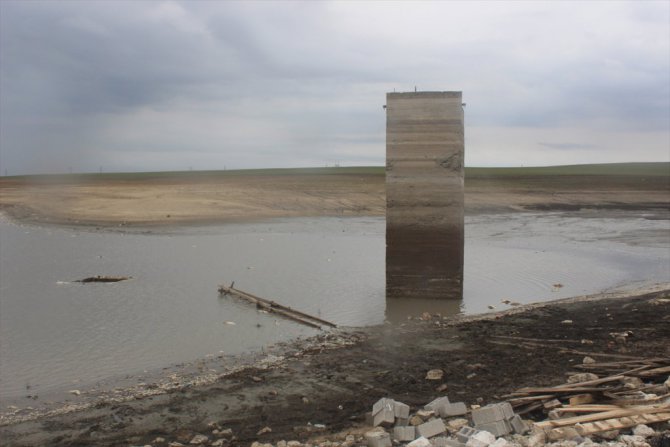 Mevsimsiz ölüyor balıklar