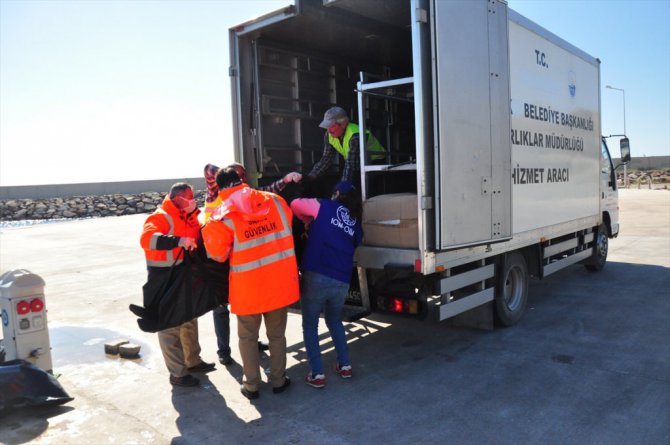 Ege'de sığınmacı teknesi battı