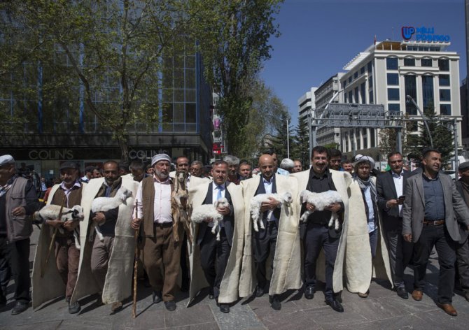 Ankara'da Koyun Çevirme