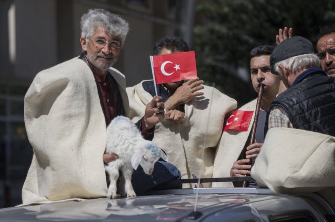 Ankara'da Koyun Çevirme