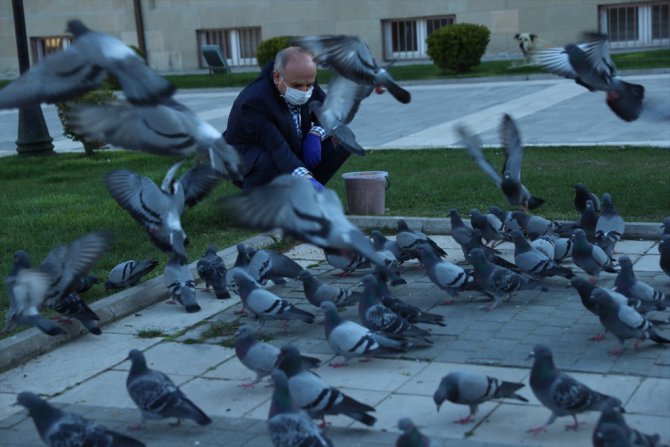 Eskişehir Valisi Çakacak aç kalan sokak hayvanlarını doyurdu