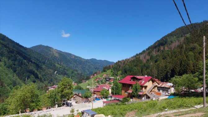 Doğu Karadeniz'in gözdesi Ayder Yaylası turizm sezonuna hazırlanıyor