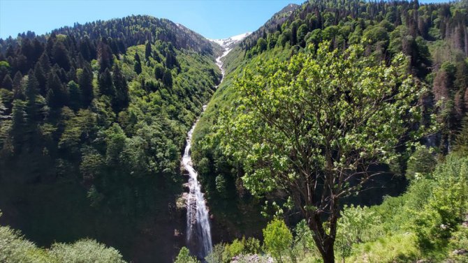Doğu Karadeniz'in gözdesi Ayder Yaylası turizm sezonuna hazırlanıyor