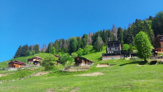 Doğu Karadeniz'in gözdesi Ayder Yaylası turizm sezonuna hazırlanıyor