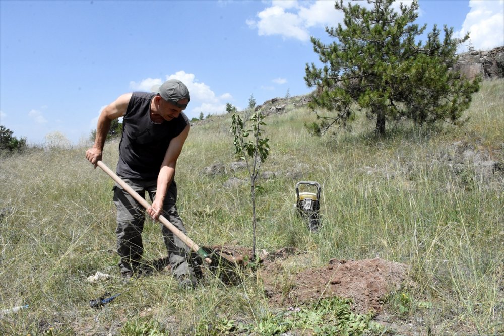 Babasının vasiyetiyle on binlerce tohumu toprakla buluşturdu