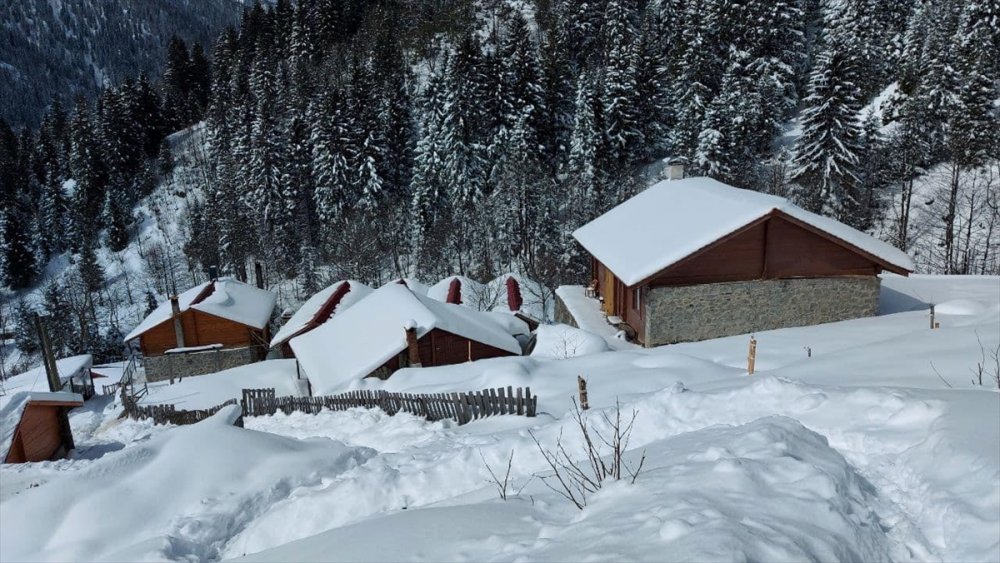 Ayder Yaylası, martta yağan karla yeniden beyaza büründü