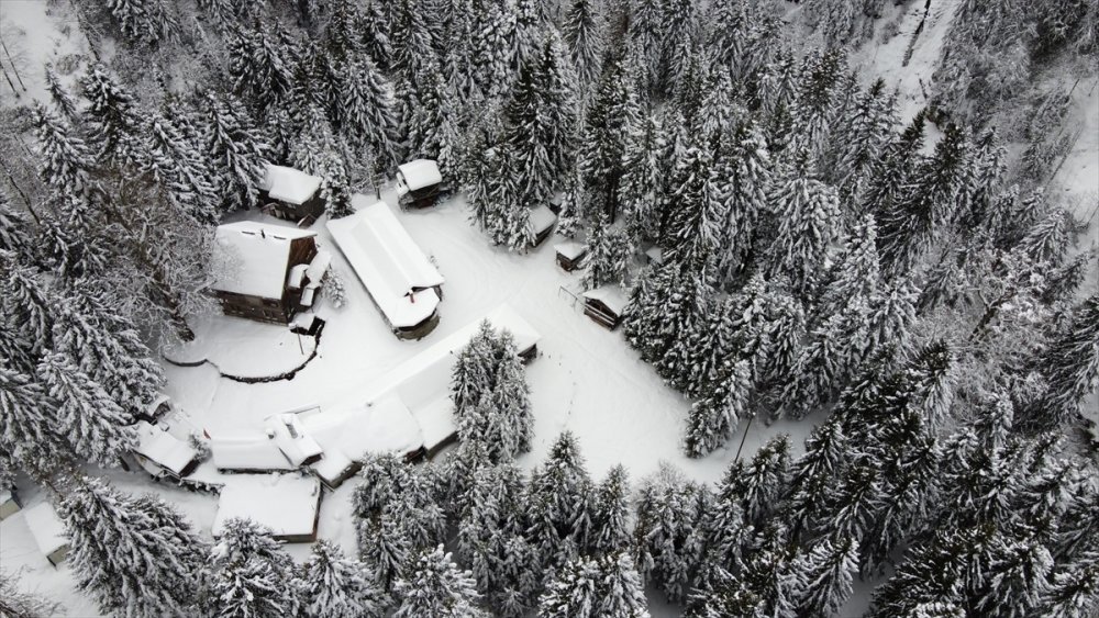 Ayder Yaylası, martta yağan karla yeniden beyaza büründü
