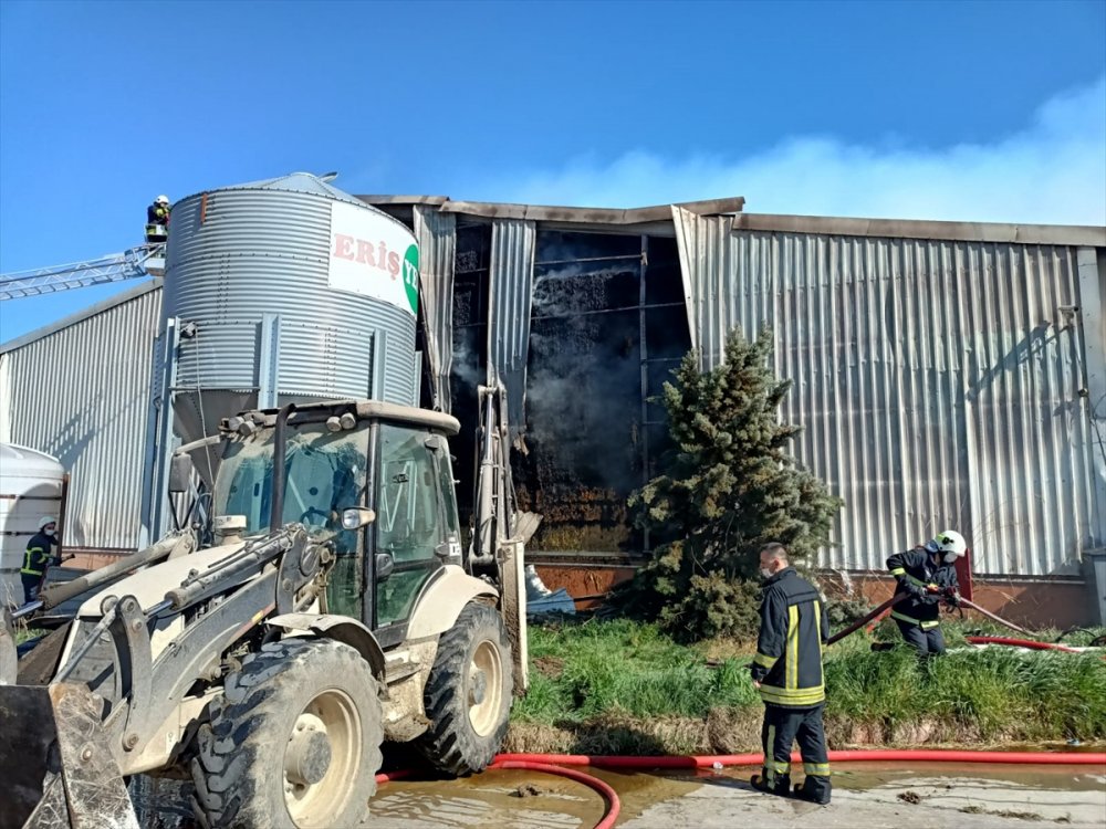 Kırklareli'nde hayvan çiftliğinde çıkan yangına müdahale ediliyor