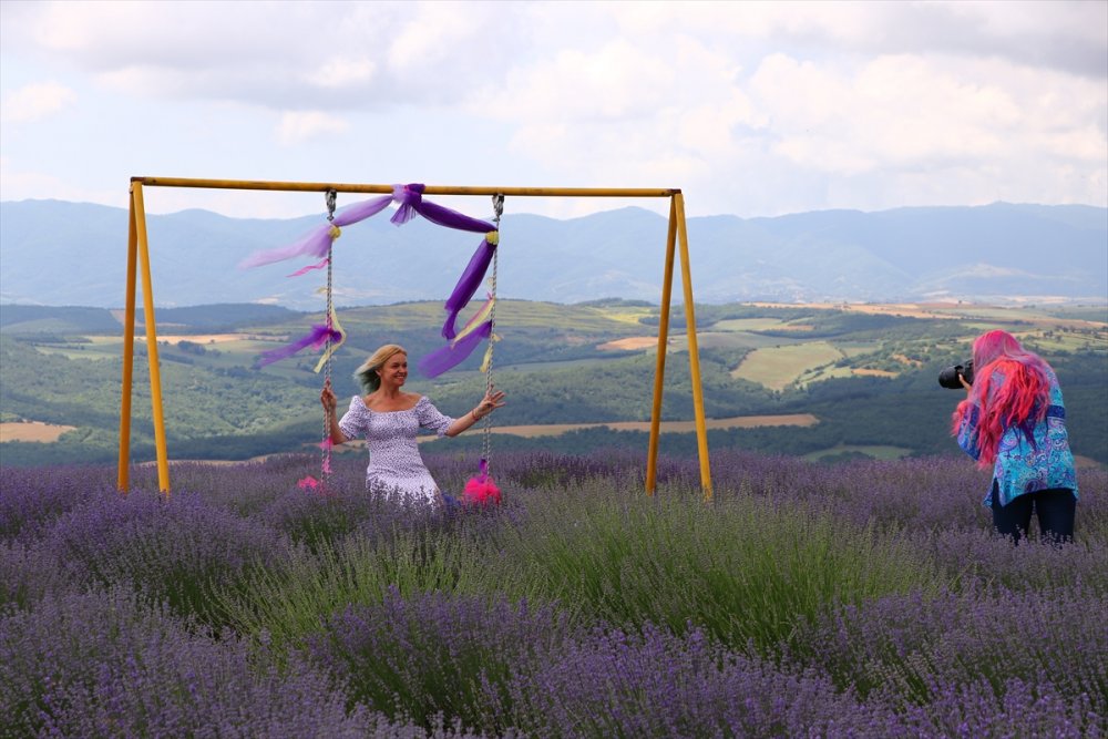 Tekirdağ'da "Lavanta Günleri" etkinlikleri devam ediyor