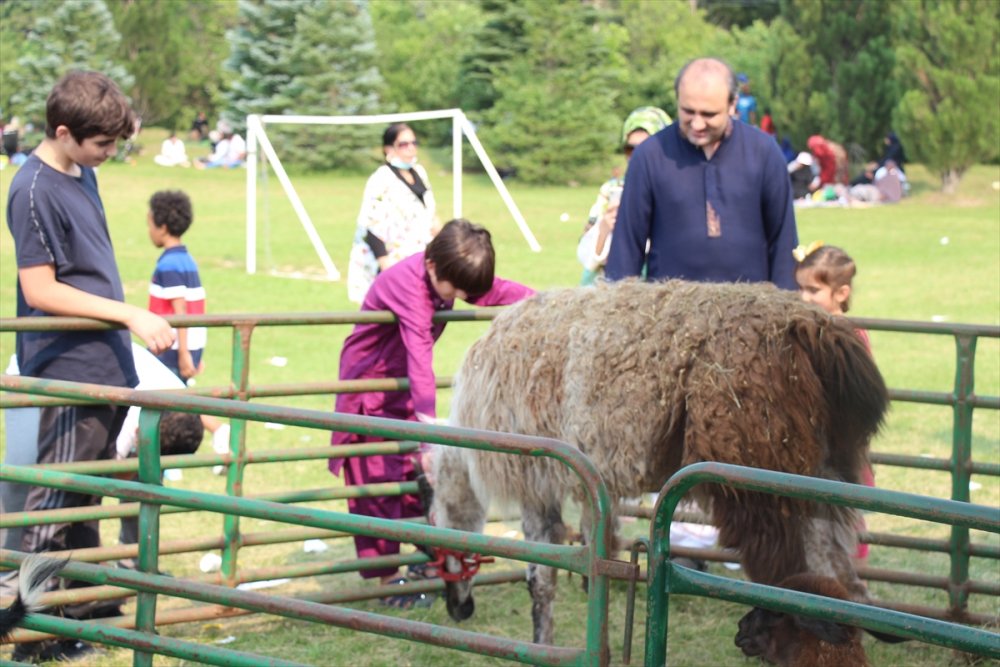 Kanada’da çocuğunu alan bayram karnavalına koştu