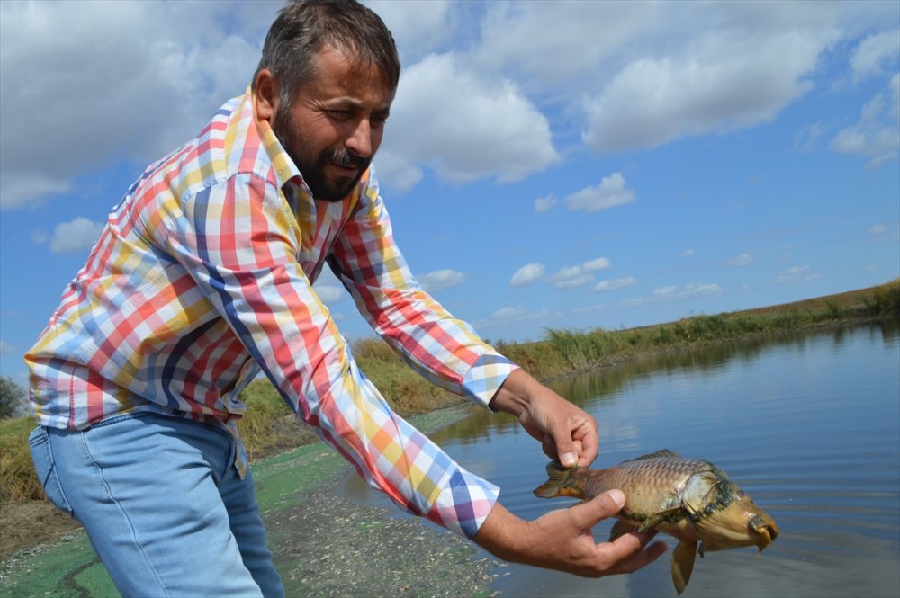 Kırklareli'nde gölete hayvan atığı bırakan çiftliğe 96 bin 525 lira ceza yazıldı