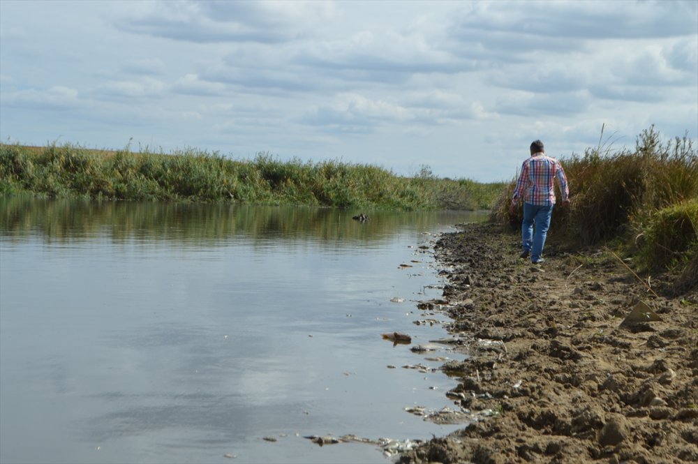 Kırklareli'nde gölete hayvan atığı bırakan çiftliğe 96 bin 525 lira ceza yazıldı