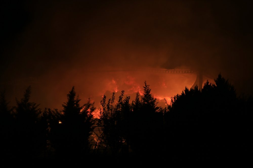 Kırklareli'nde hayvan çiftliğinde çıkan yangın kontrol altına alındı