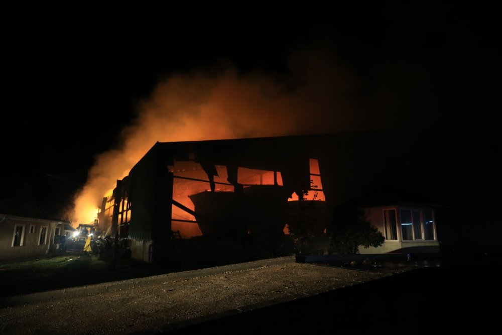 Kırklareli'nde hayvan çiftliğinde çıkan yangın kontrol altına alındı