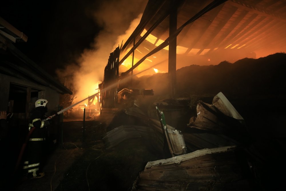 Kırklareli'nde hayvan çiftliğinde çıkan yangın kontrol altına alındı