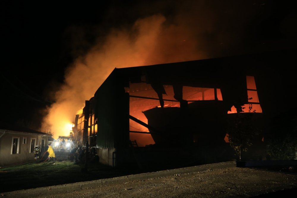 Kırklareli'nde hayvan çiftliğinde çıkan yangın kontrol altına alındı