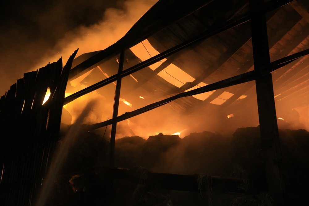 Kırklareli'nde hayvan çiftliğinde çıkan yangın kontrol altına alındı