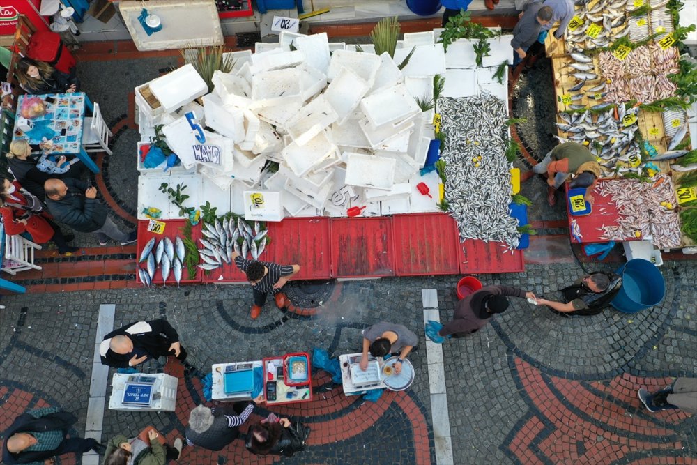 Edirne'de 5 liraya düşen hamsiye vatandaşlar yoğun ilgi gösterdi