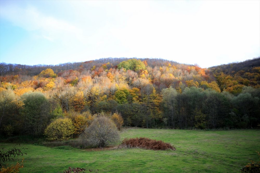 Kırklareli'ndeki Istranca ormanları güz renklerine büründü