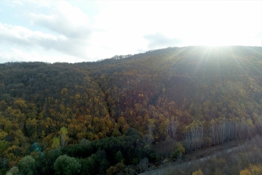 Kırklareli'ndeki Istranca ormanları güz renklerine büründü