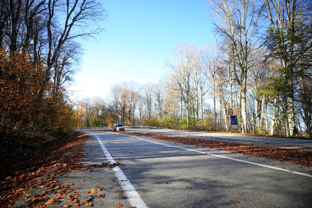 Kırklareli'ndeki Istranca ormanları güz renklerine büründü
