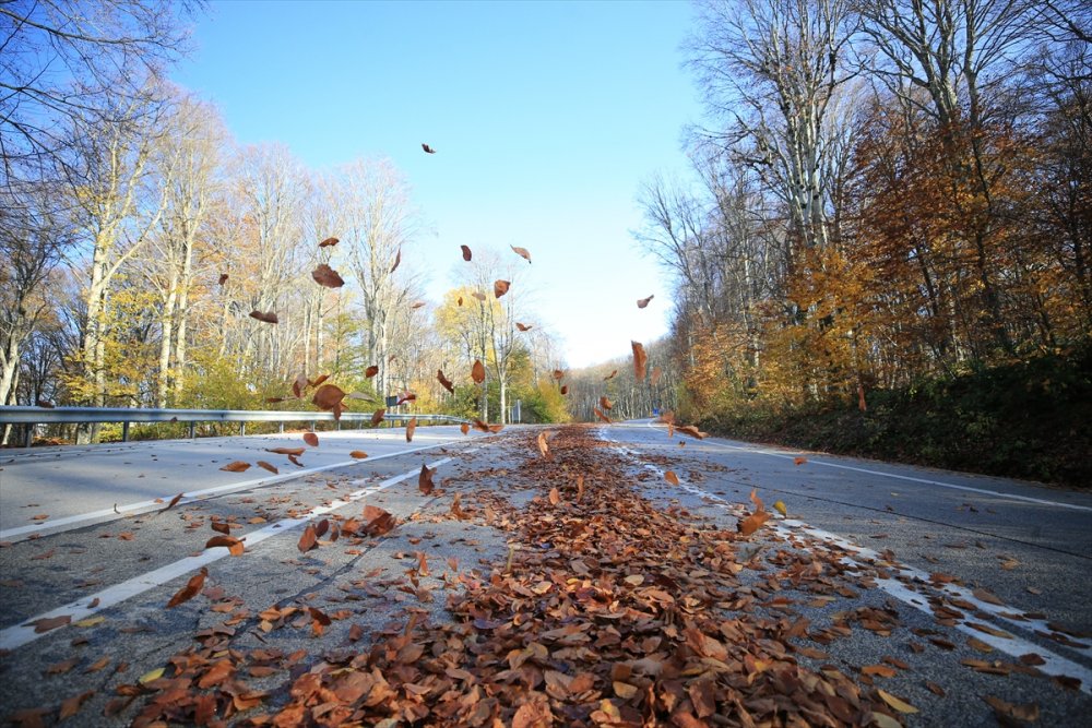 Kırklareli'ndeki Istranca ormanları güz renklerine büründü