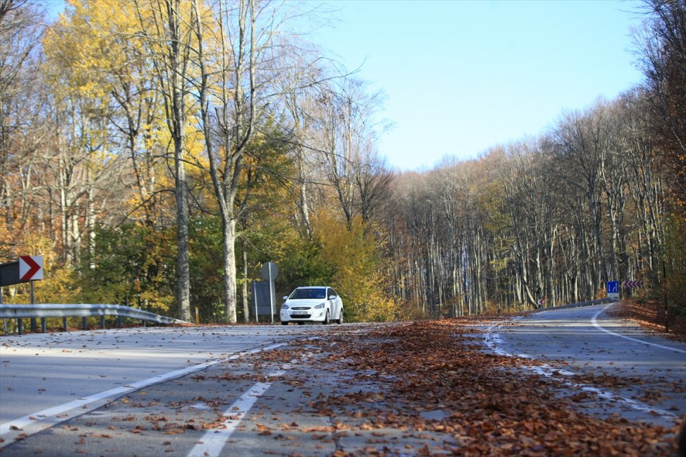 Kırklareli'ndeki Istranca ormanları güz renklerine büründü