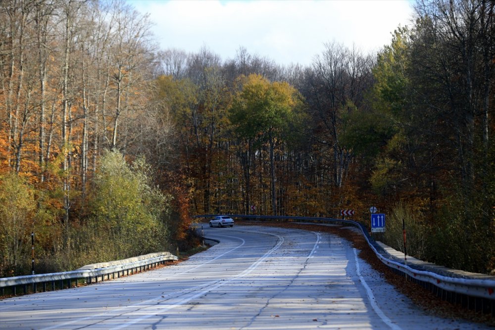 Kırklareli'ndeki Istranca ormanları güz renklerine büründü