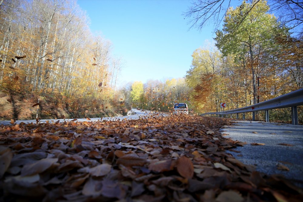 Kırklareli'ndeki Istranca ormanları güz renklerine büründü