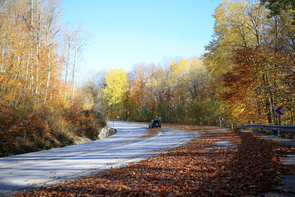 Kırklareli'ndeki Istranca ormanları güz renklerine büründü