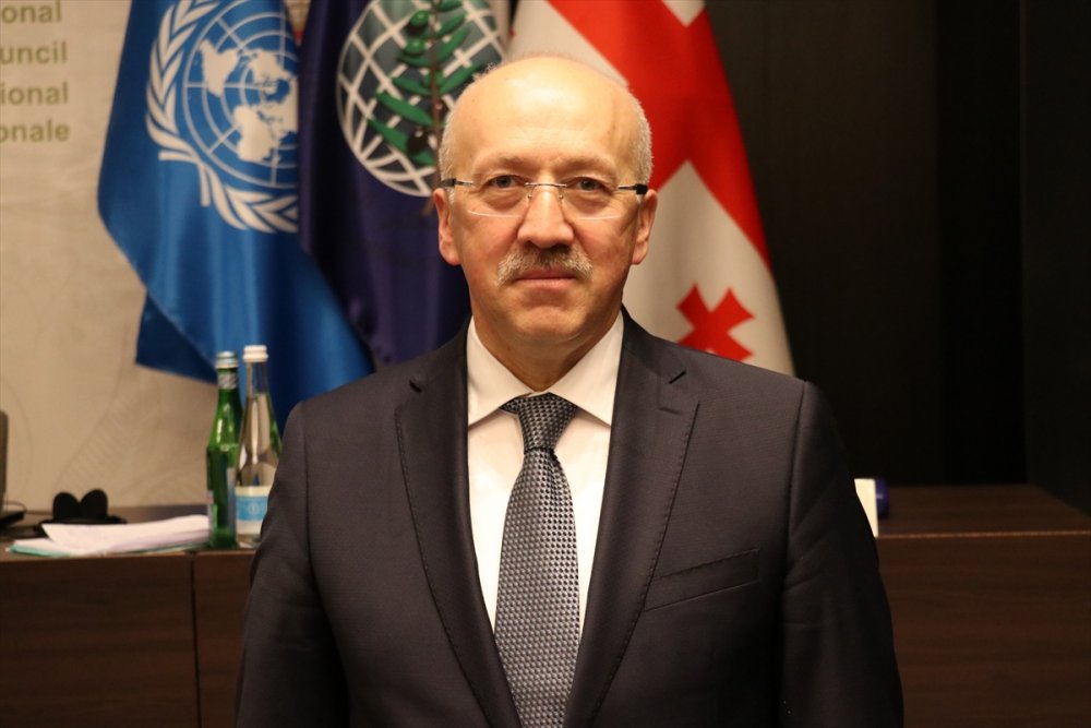 Ticaret Bakan Yardımcısı Uçarmak Gürcistan'da Uluslararası Zeytin Konseyi oturumuna katıldı