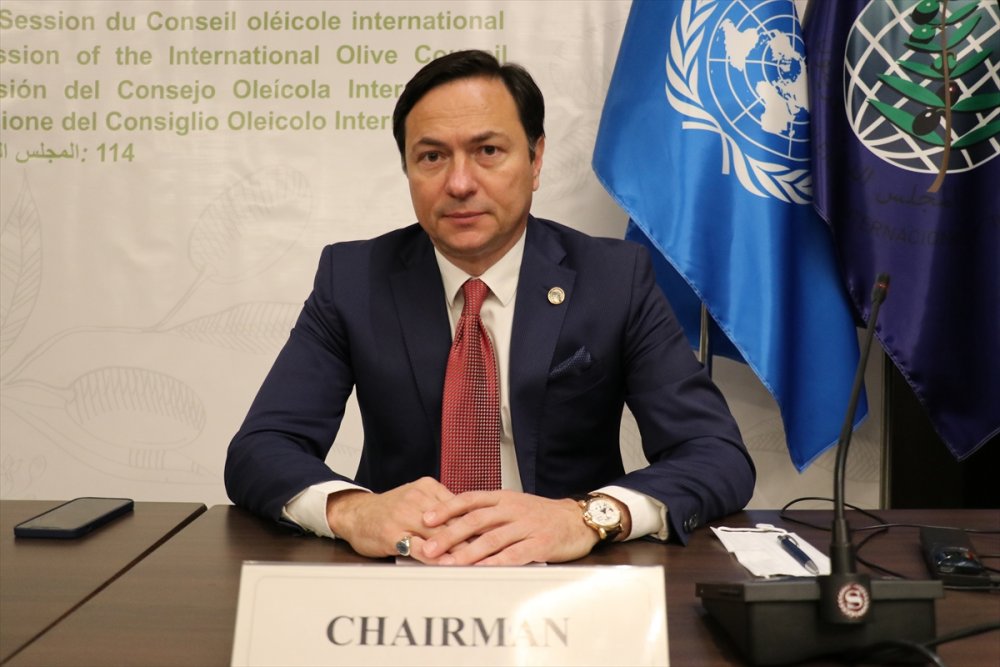 Ticaret Bakan Yardımcısı Uçarmak Gürcistan'da Uluslararası Zeytin Konseyi oturumuna katıldı