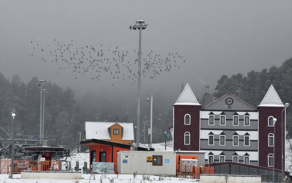 Kars'ın Sarıkamış ilçesi karla kaplandı