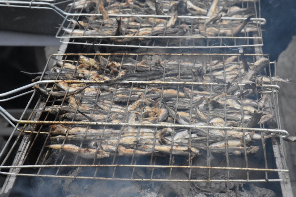 Ordu'da festivalde vatandaşlara 5 ton ızgara hamsi ikram edildi