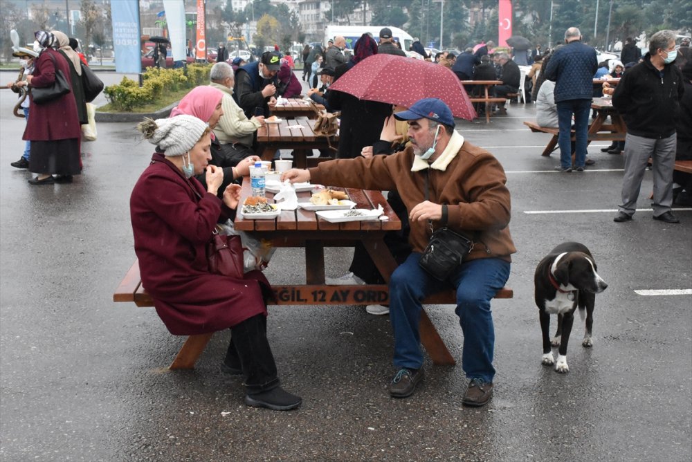Ordu'da festivalde vatandaşlara 5 ton ızgara hamsi ikram edildi