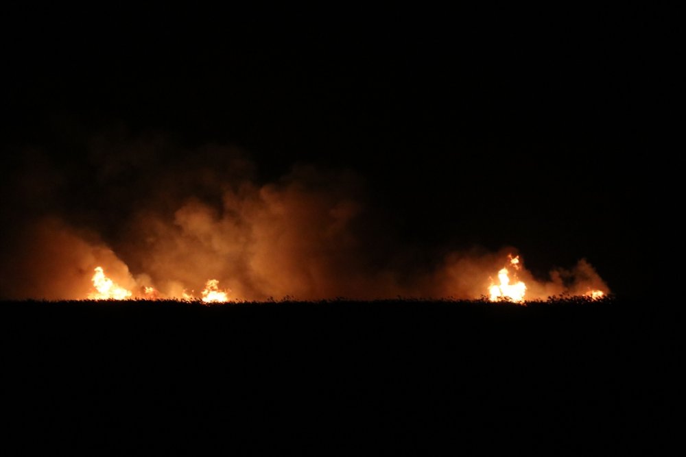 Kayseri'deki Sultan Sazlığı Milli Parkı'nda yangın çıktı