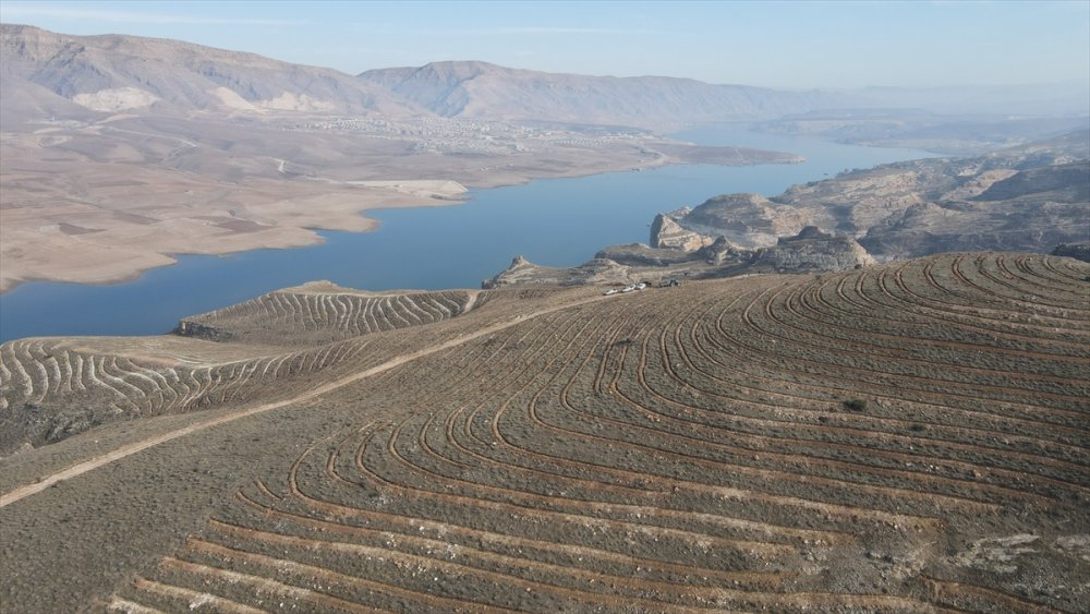 Tarihi Hasankeyf 250 bin fidanla yeşillendirilecek
