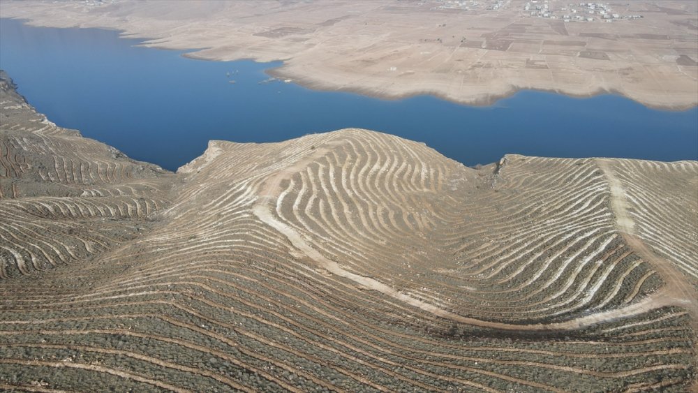 Tarihi Hasankeyf 250 bin fidanla yeşillendirilecek