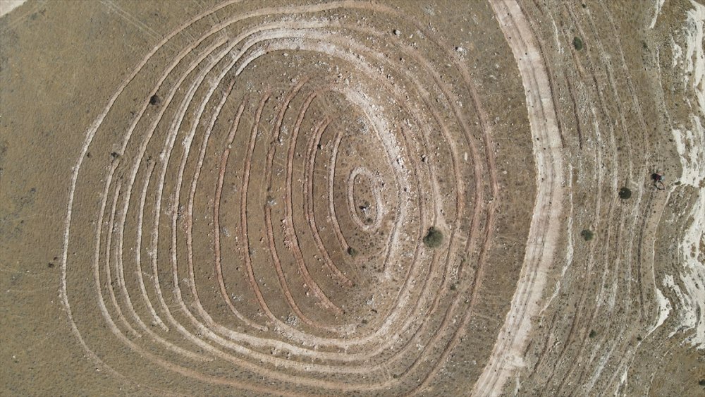 Tarihi Hasankeyf 250 bin fidanla yeşillendirilecek