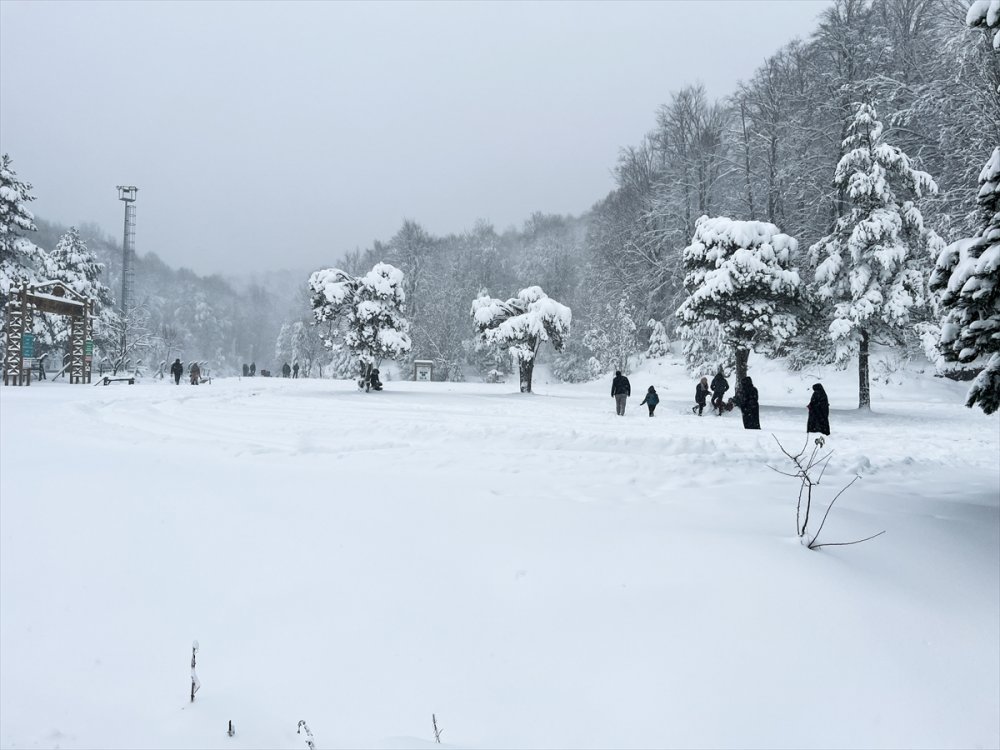 Domaniç Dağları'nda kar yağışı etkili oluyor